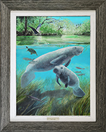 Manatees of the Nature Coast -Rustic Black-Grey Frame & Country Weathered Liner